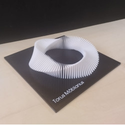 Torus Möbianus