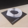 Torus Möbianus