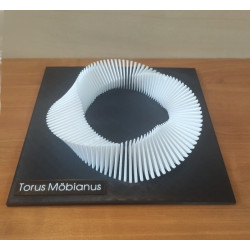 Torus Möbianus