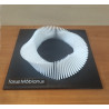 Torus Möbianus