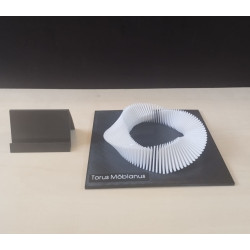 Torus Möbianus