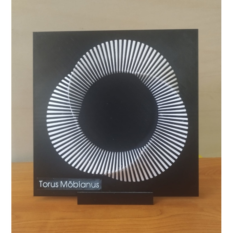 Torus Möbianus